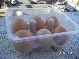 15 portauovo confezione uova.jpg